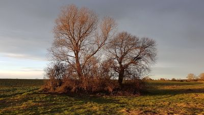 Według opowieści dawny cmentarz.